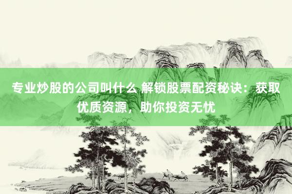 专业炒股的公司叫什么 解锁股票配资秘诀：获取优质资源，助你投资无忧