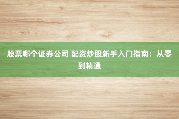 股票哪个证券公司 配资炒股新手入门指南：从零到精通