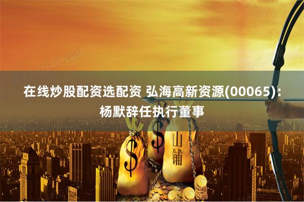 在线炒股配资选配资 弘海高新资源(00065)：杨默辞任执行董事