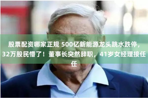 股票配资哪家正规 500亿新能源龙头跳水跌停，32万股民懵了！董事长突然辞职，41岁女经理接任
