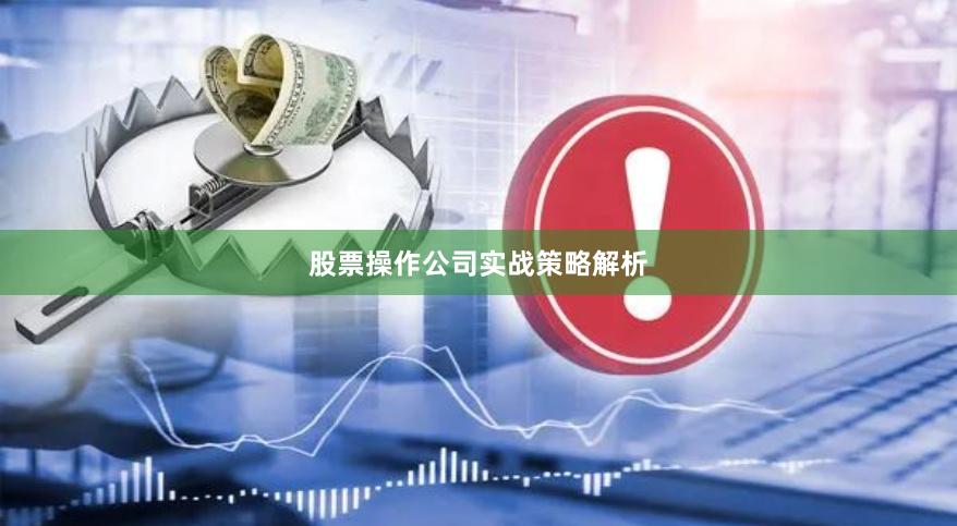 股票操作公司实战策略解析