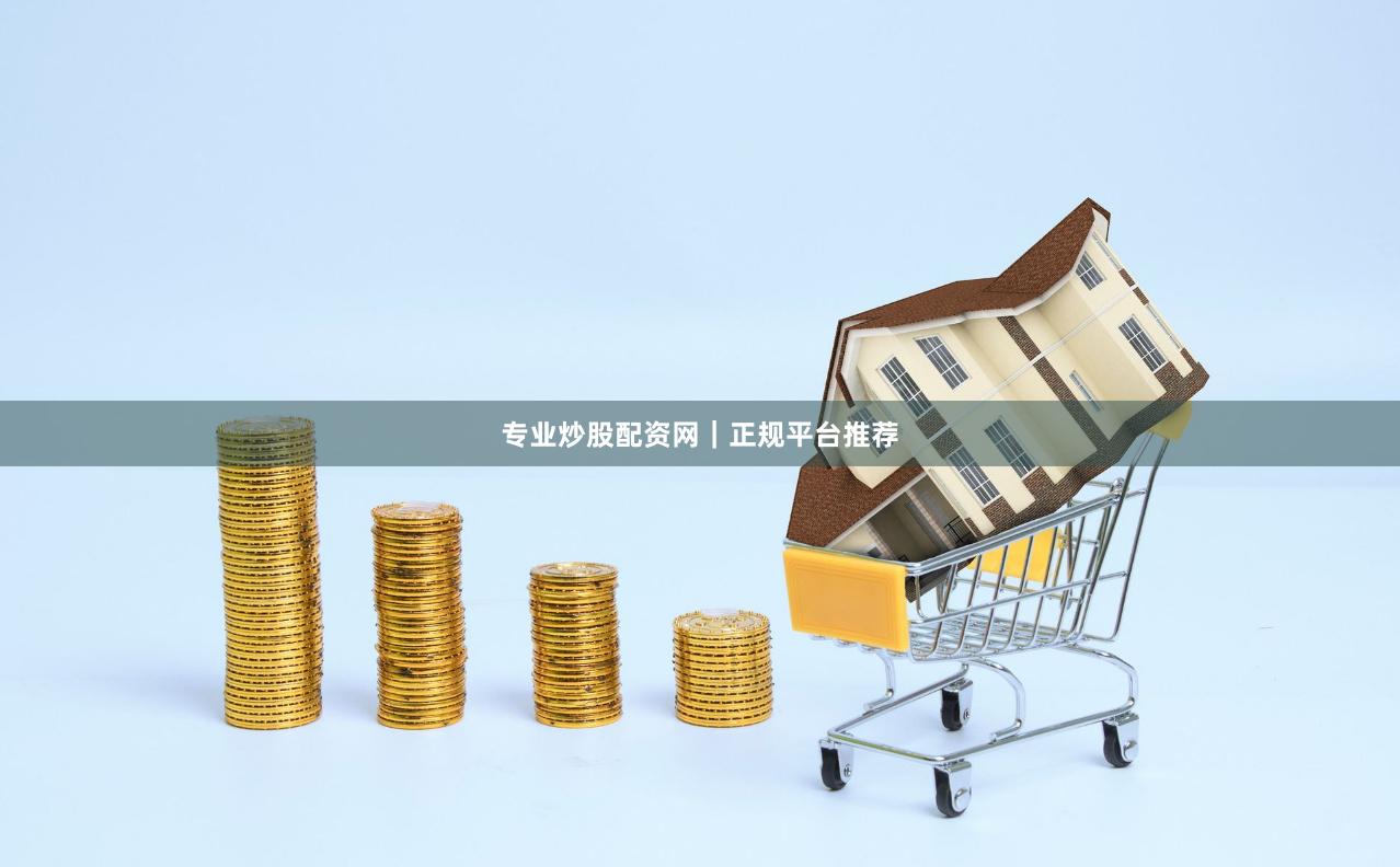 专业炒股配资网｜正规平台推荐